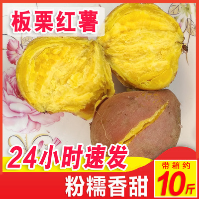 现挖新鲜板栗红薯广东粉糯甜地瓜