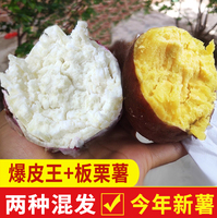 新鲜板栗薯农家红薯爆皮王番薯鸡蛋黄心粉糯香甜混搭白心干面地瓜