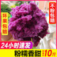 紫薯新鲜现挖番薯农家自种紫罗兰10斤板栗红沙地粉糯香甜干面地瓜