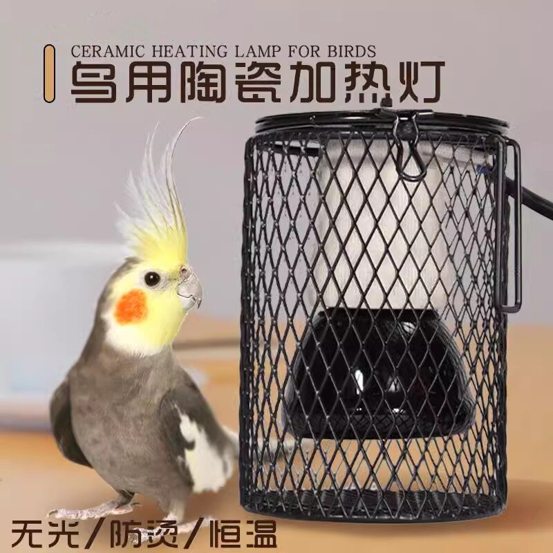 鹦鹉保温灯芦丁鸡鸟用无光陶瓷防烫防咬取暖仓鼠蜜袋鼯宠物加热灯