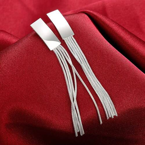 Sterling Silver Earrings temperament Women Creativity