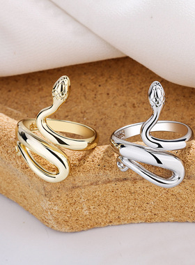 2023 Fashion Trend Jewelry Rings Silver Plated Rings