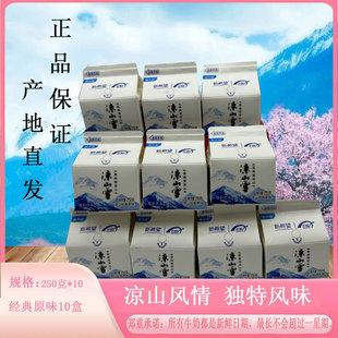 四川特产凉山雪酸奶西昌特产大凉山乳酸菌饮料来自风味包邮产地