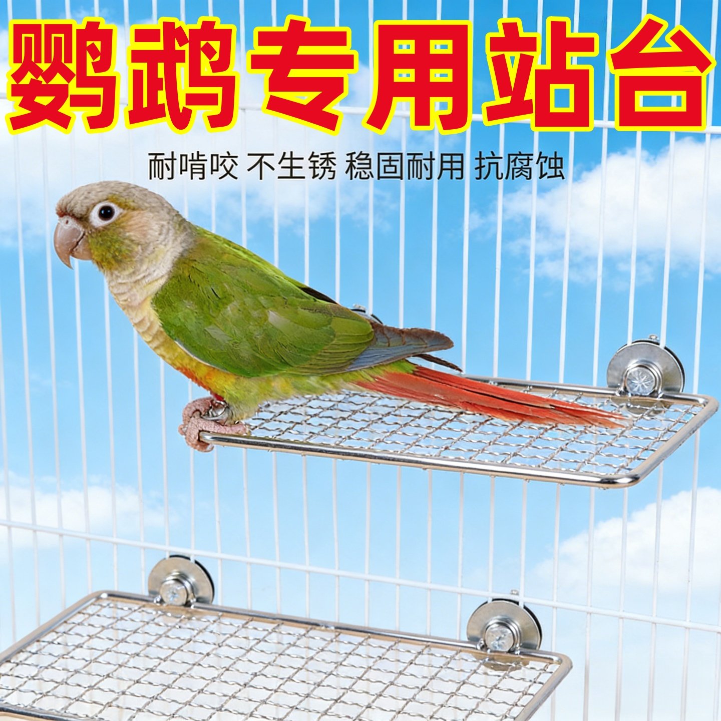 鹦鹉不锈钢鸟站台休息平台玩具耐啃咬耐用鸟笼配件站架小鸟用品,宠物/宠物食品及用品,鸟玩具,淘宝优惠券,粉丝福利购,淘宝优惠卷