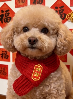 宠物新年围巾猫咪狗狗通用红色招财围脖装饰品喜庆泰迪过年专用