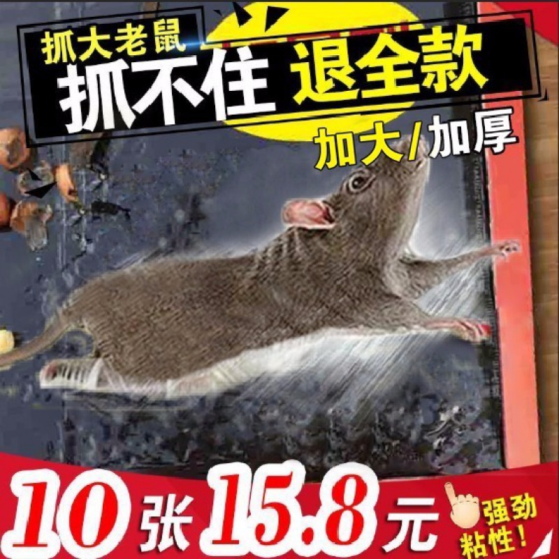 10张粘老鼠贴灭r老鼠神器老鼠贴强力粘鼠板老鼠贴灭鼠