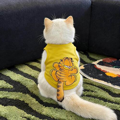 夏季猫咪衣服防掉毛薄款立体加菲猫背心小型犬可爱搞笑尾巴两脚衣