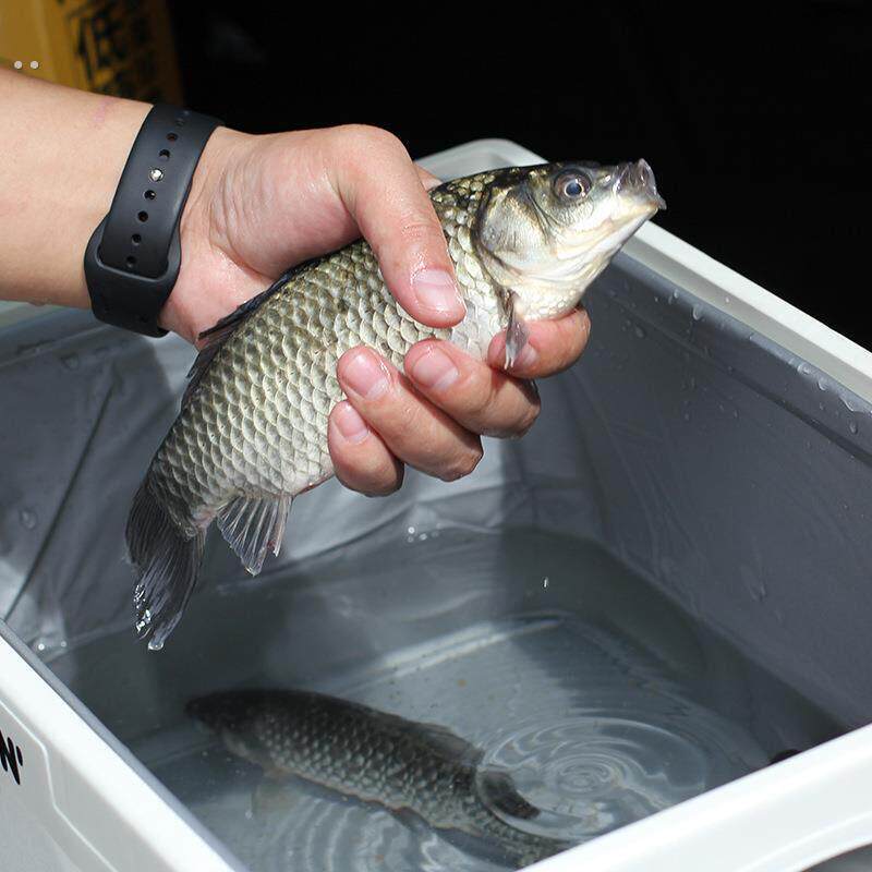 折叠收纳箱防水袋车载露整理盒28/30/40车辆后营箱塑料备物储箱子