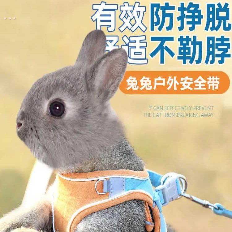 兔子牵引绳防挣脱遛小兔子专用神器背心式可伸缩外出的衣服溜绳子
