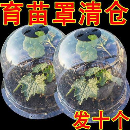 园艺蔬菜保温育苗罩塑料透气种植保护幼苗防冻防鸟植物闷养恒温