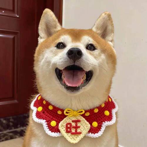 新年狗狗围脖小狗口水巾小配饰猫咪围脖宠物围巾编织围兜过年装扮