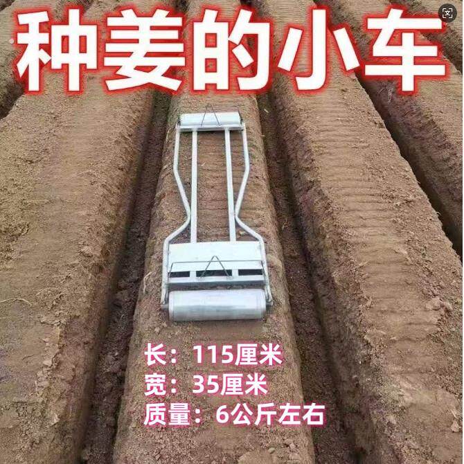种姜小车带轱辘农用姜根滑板车坐着可以种姜多功能运姜车带轮子