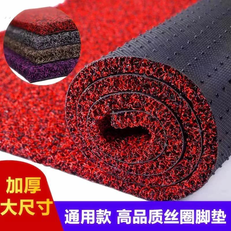 入户门口地垫丝圈防滑入门进门垫浴室化妆室脚垫客厅门外汽车地毯