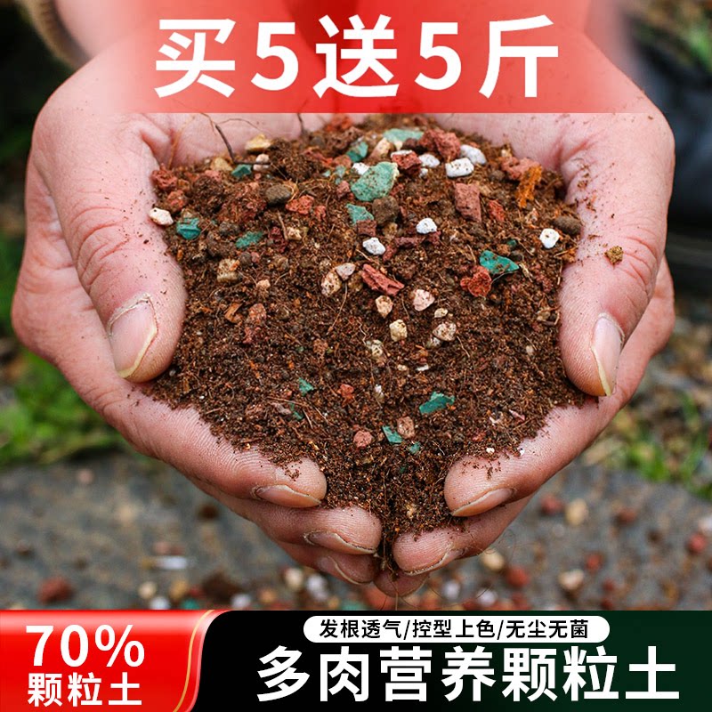 买5斤送7斤-70%适用颗粒土多肉专用生根进口颗粒土火山石麦饭石