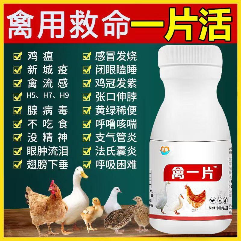 鸡鸭鹅鸽子感冒发烧特效药