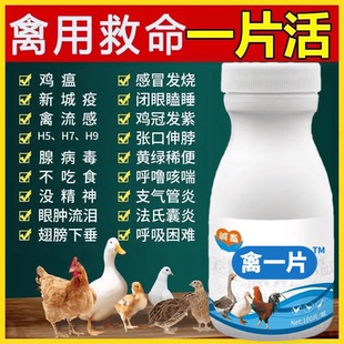 鸡瘟流感新城疫鸡鸭鹅拉稀感冒气喘呼噜特效急救消炎抗病毒禽一片