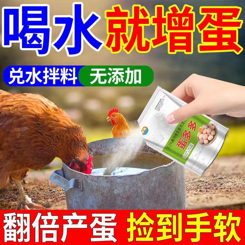 鸡舍排水沟强力杀菌灭蚊蝇
