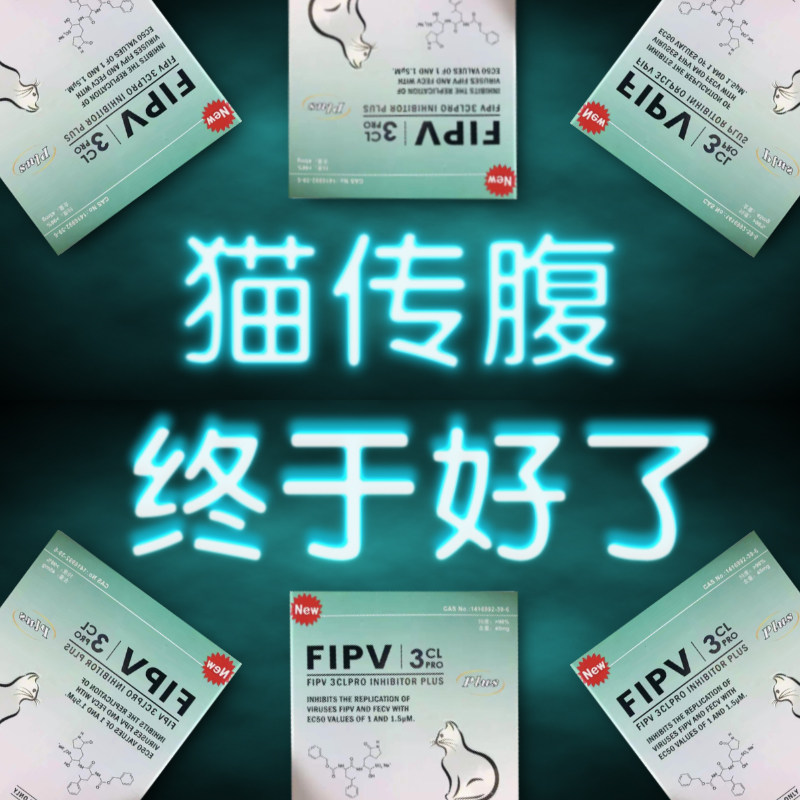 猫传腹干性湿性消腹水大肚子腹膜炎无痛抑制剂营养液水剂油剂,宠物/宠物食品及用品,猫特色保健品,淘宝优惠券,粉丝福利购,淘宝优惠卷