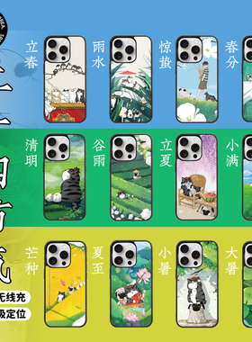 SKS吾皇猫联名二十四节气黑边高清适用苹果iPhone1716promax15Pro手机壳保护套防摔
