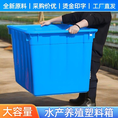 养殖户专用塑料水箱加厚大号
