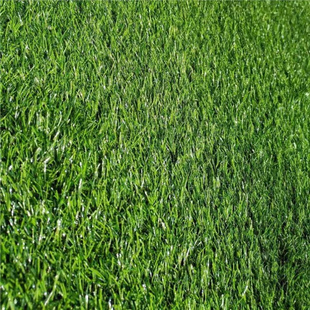 极速Outdoor decoration prunizng-free balcony turfT carpet Gf