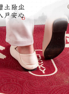 极速Qiqijia new Chinese style eAntrance door mat entrance ho