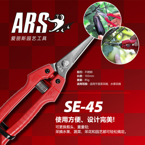 原装进口摘果剪爱丽斯尖头剪刀