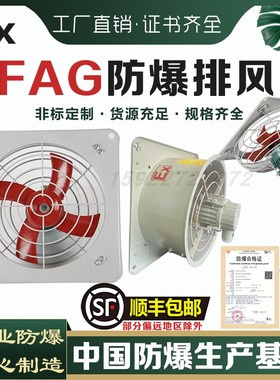 EX防爆排风扇BFAG-300壁式百叶式工业防爆换气扇220V轴流风机380V