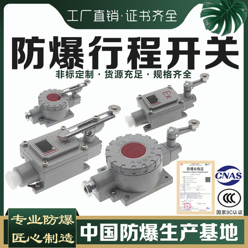 防爆行程开关LX5- 15Z/L/B/D/H/N BZX51限位脚踏开关双踏dLXK-10A