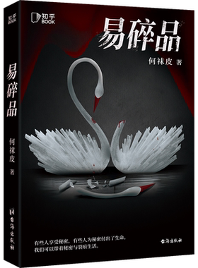 悬疑推理小说易碎品何袜皮著