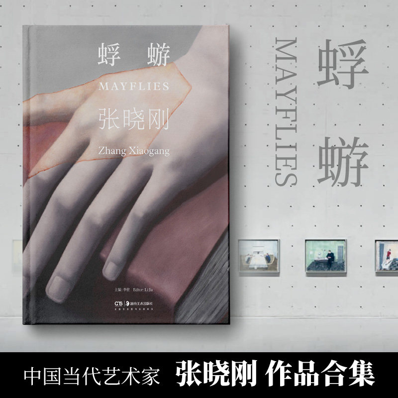 张晓刚：蜉蝣 李佳主编著  集中展示了张晓刚2019年到2023年间的创作 当代中国情境的体现 博集天卷