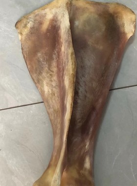 骆驼骨扇骨泡酒料关节骨天然关节