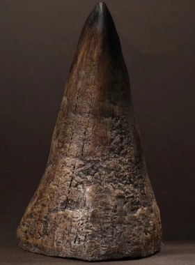 天然披毛犀整角养生田园鱼子纹