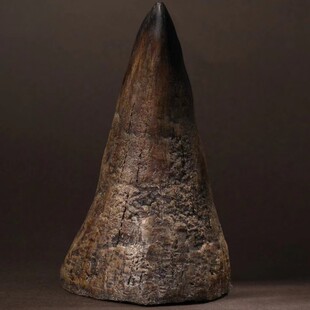 天然保真披毛犀整角 古玩收藏老物件摆件养生文玩鱼子纹清晰 田园