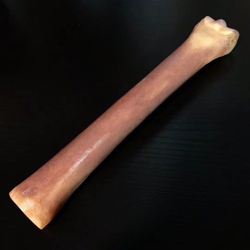纯天然保真驼骨文玩骨头手把件扳指牌子雕刻件原料DIY动物田园