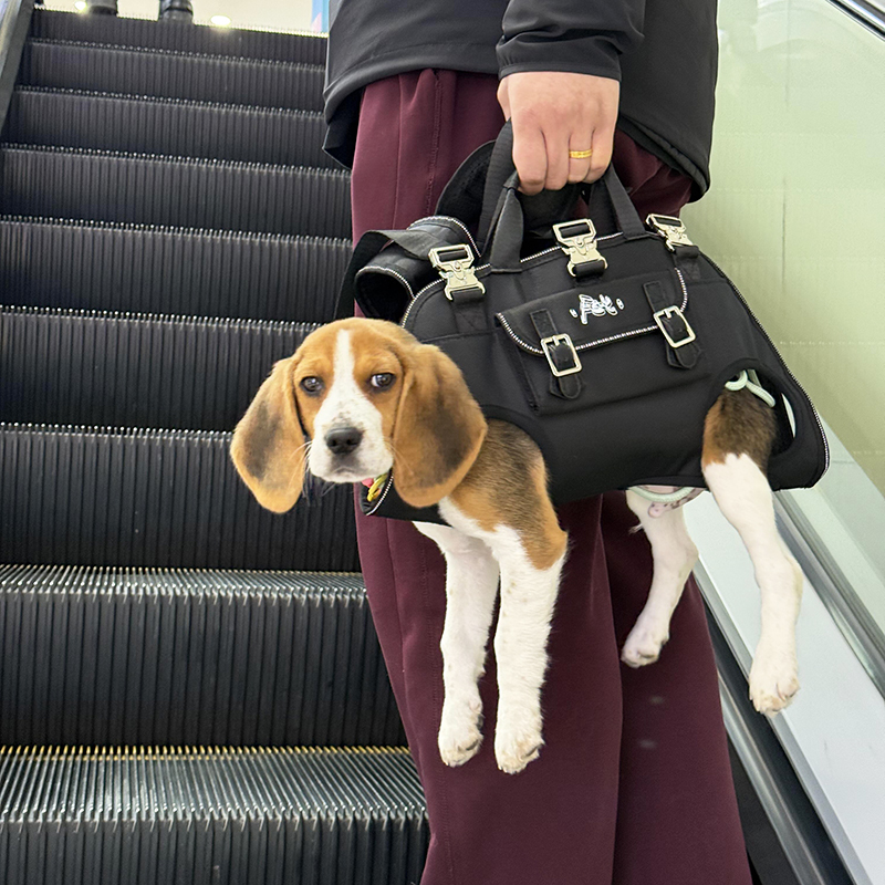 狗狗外出包便携背包可手提宠物双肩外带包小型犬透气猫咪背带牵引