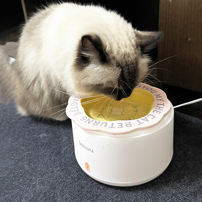 酸奶机猫咪喝水恒温猫咪饮水机自动循环冬季加热罐头陶瓷保温饮水