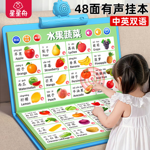 宝宝有声早教挂图婴幼儿启蒙认知儿童点读发声挂本看图识物识字书