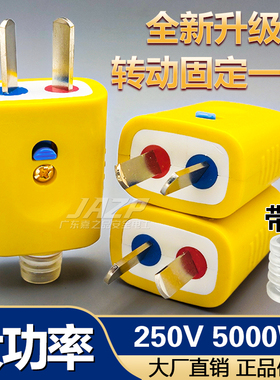 插头二脚通用家用插销不带线大功率一体纯铜防摔阻燃二角二极插头
