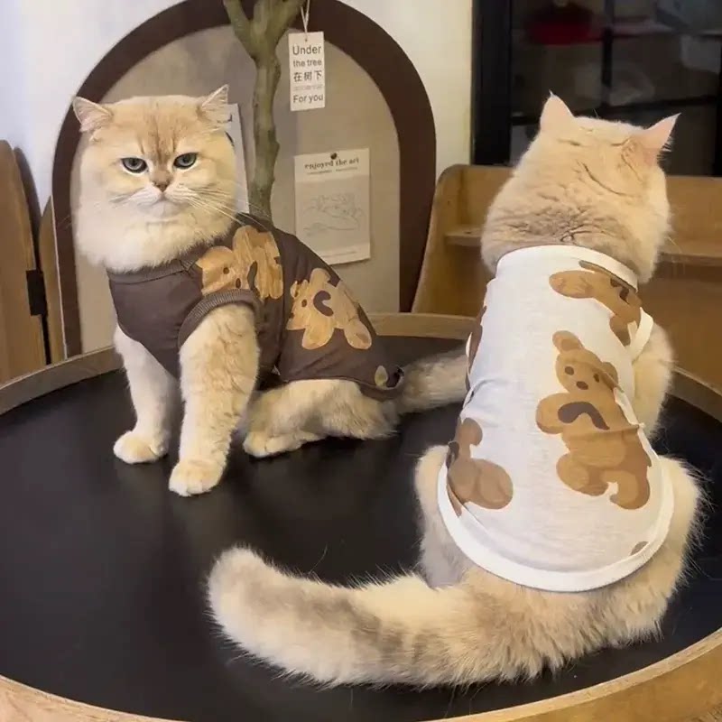 小猫咪衣服夏季薄款防掉毛英短蓝猫布偶猫银渐层幼犬夏天透气背心