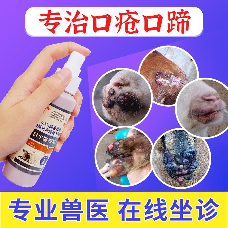 猪牛羊口蹄疫专用羊口疮兽用烂嘴烂蹄子五号病重症腐蹄康血清