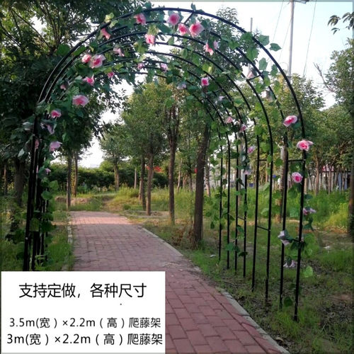 葡萄架庭院加粗价格 葡萄架庭院加粗图片 星期三