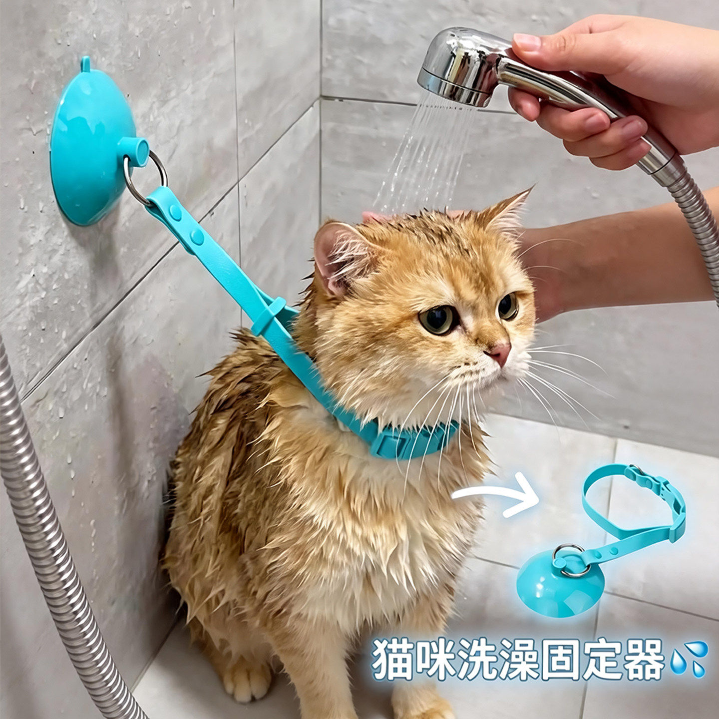 猫咪洗澡固定器宠物剃毛神器拴狗绑狗绳吸盘式狗狗美容吊绳牵引绳