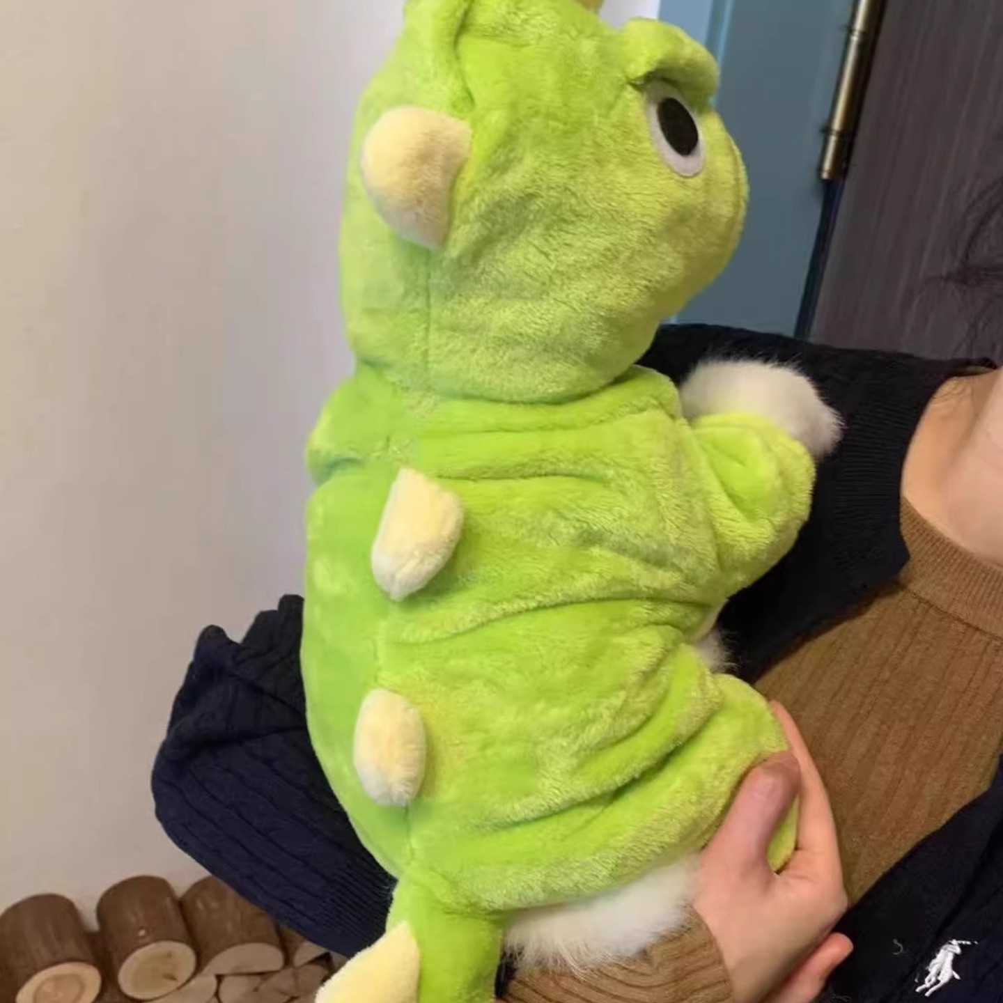 四脚衣秋冬加绒衣恐龙卡通好玩宠物狗狗猫衣服用品保暖搞怪可爱