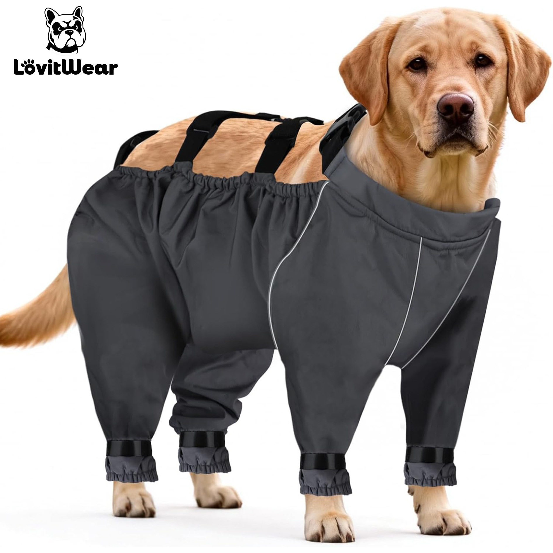 休闲爆款防水防滑狗狗鞋全地形宠物靴子小型犬易穿脱防脏户外狗鞋,宠物/宠物食品及用品,宠物鞋子,淘宝优惠券,粉丝福利购,淘宝优惠卷