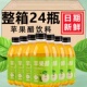 苹果醋饮料整箱350ml 12瓶网红苹果味果醋饮品苹果汁醋味风味饮料