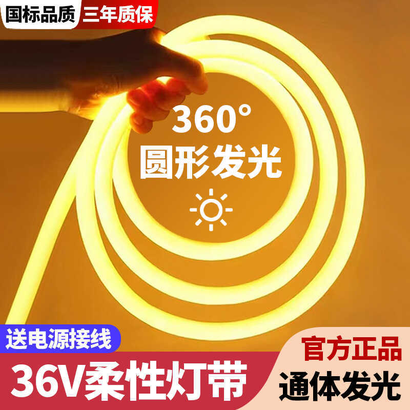 低压36v圆形灯带led超亮建筑工地隧道地下室工程亮化户外防水灯条