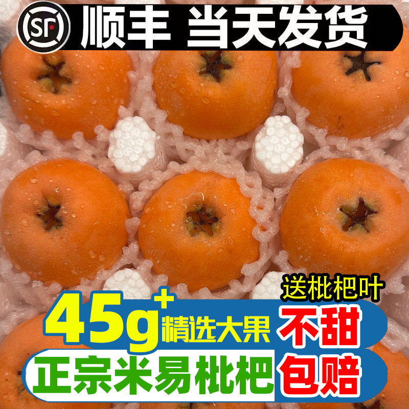 正宗四川米易枇杷现货水果新鲜当季5斤大果琵琶果大五星整箱包邮