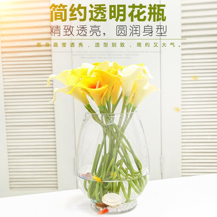 包邮恐龙蛋造型实用 简约 透明 富贵竹绿萝专用瓶 水培玻璃花瓶