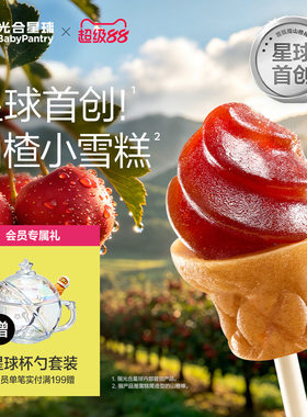 光合星球雪糕筒山楂棒鸡内金儿童零食无添加砂糖送婴儿宝宝辅食谱